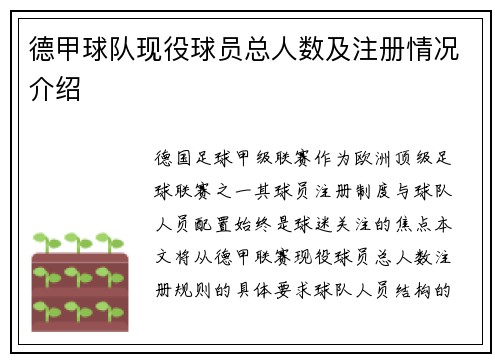 德甲球队现役球员总人数及注册情况介绍
