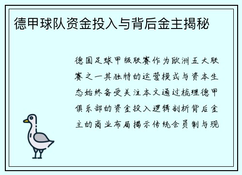 德甲球队资金投入与背后金主揭秘